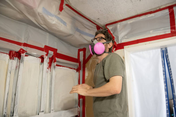 Best Mold Damage Restoration  in West Linn, OR