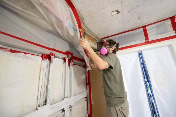Best Mold Remediation for Healthcare Facilities  in West Linn, OR