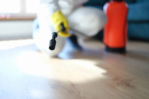 Best Mold Remediation for Healthcare Facilities  in West Linn, OR