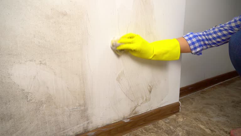 Best Mold Prevention Services  in West Linn, OR
