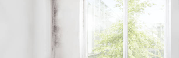 Best Air Quality Testing for Mold Spores  in West Linn, OR