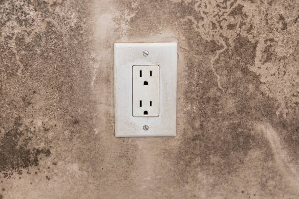 Best Asbestos and Lead Testing During Mold Inspection  in West Linn, OR